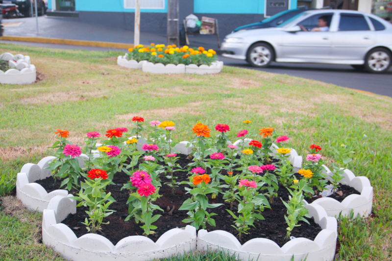 Três de Maio volta a ser Cidade Jardim